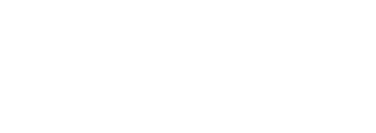 Forerunner